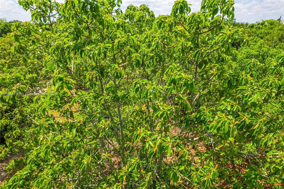 For Sale: $545,000 (2.50 acres)