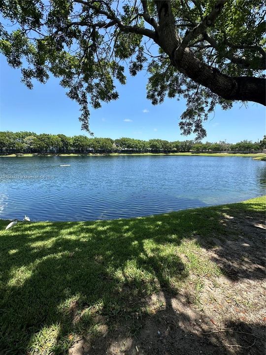 View From Living Room