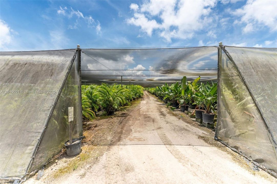 SHADE CLOTH AREA'S W/ IRRIGATION.