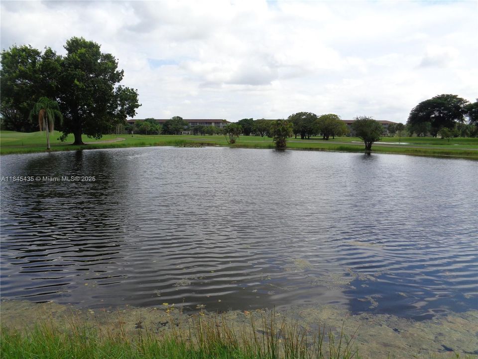 Vendido Recientemente: $145,000 (1 camas, 1 baños, 811 Pies cuadrados)