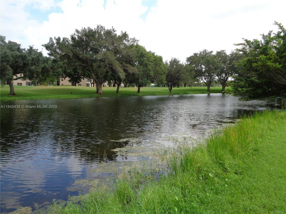 Vendido Recientemente: $145,000 (1 camas, 1 baños, 811 Pies cuadrados)