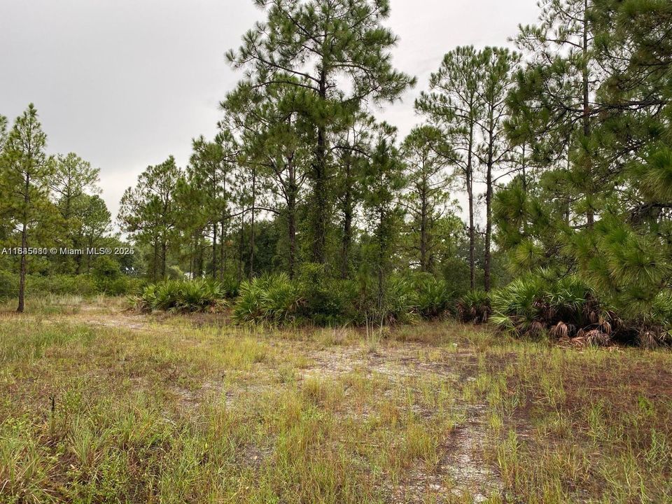 На продажу: $35,000 (21,780.00 acres)