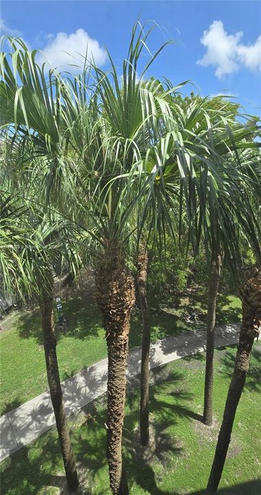 Active With Contract: $1,600 (1 beds, 1 baths, 650 Square Feet)