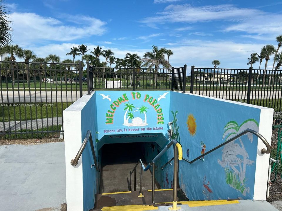 Tunnel Entrance