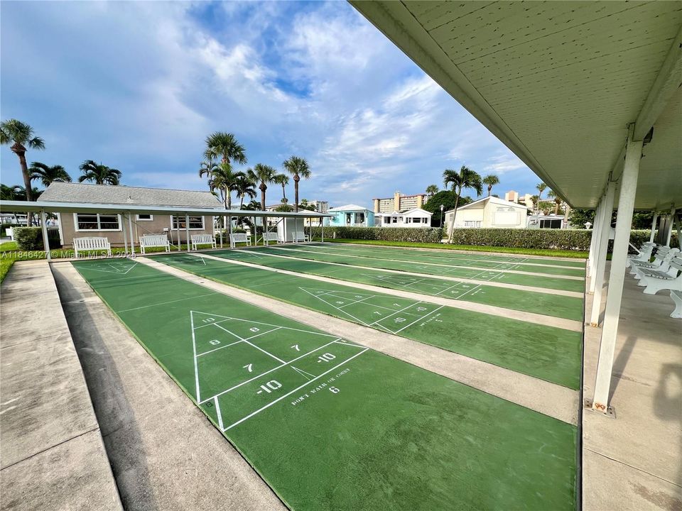 Shuffleboard