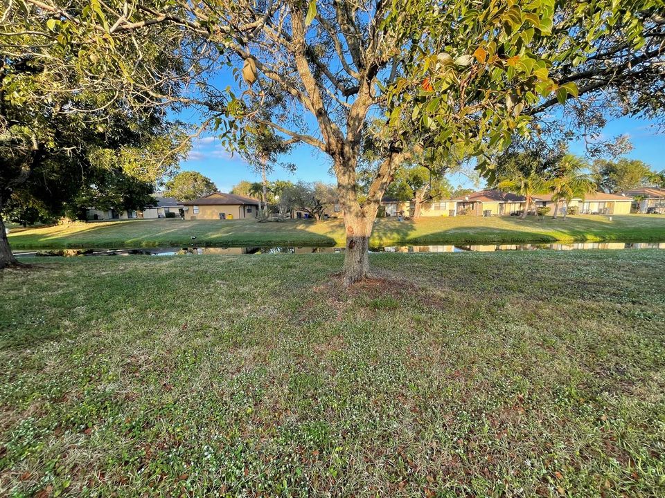 Backyard/Canal