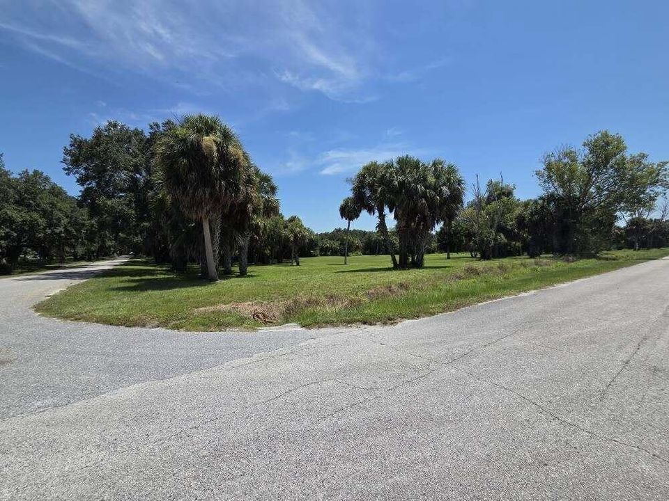 Riveroak3
