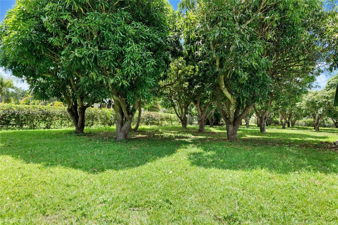 For Sale: $3,000,000 (0 beds, 0 baths, 0 Square Feet)