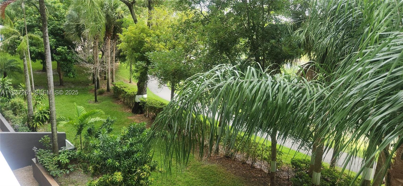 so nice and peaceful