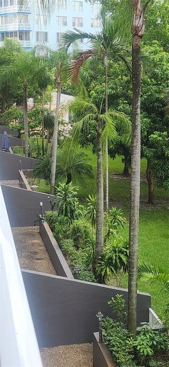 green and the peaceful environment