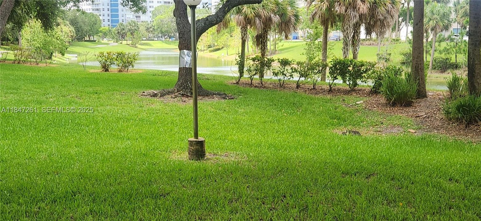 beautiful greenery all over the grounds