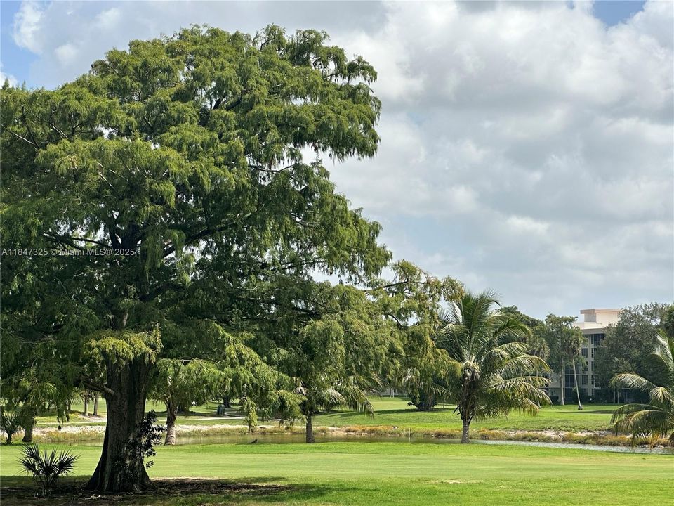 Active With Contract: $2,600 (3 beds, 2 baths, 1620 Square Feet)