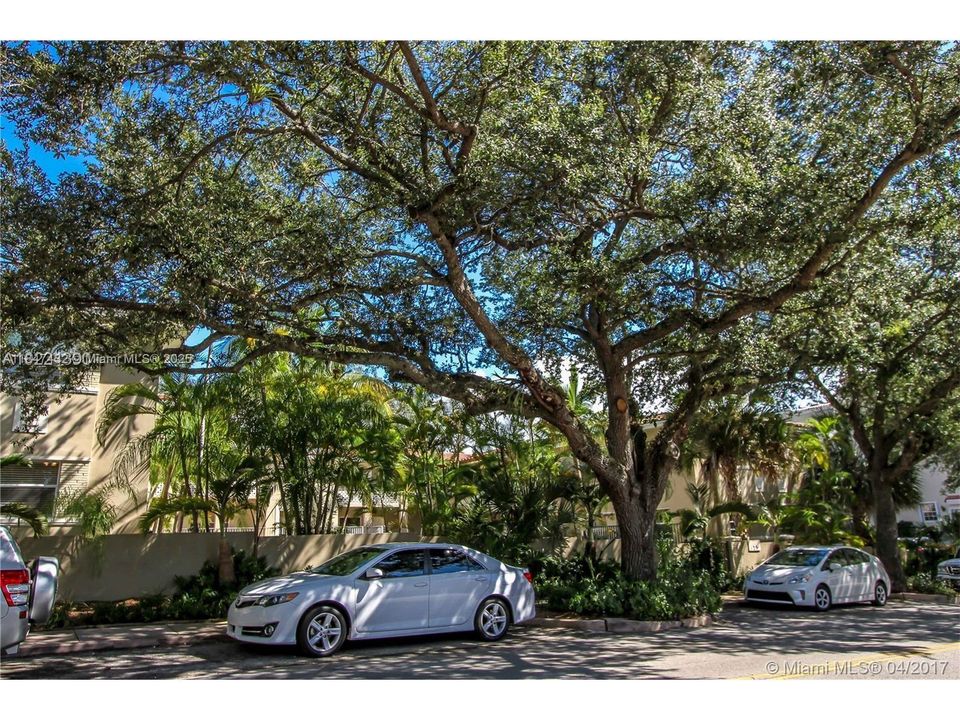 Недавно арендовано: $1,800 (0 спален, 1 ванн, 440 Квадратных фут)