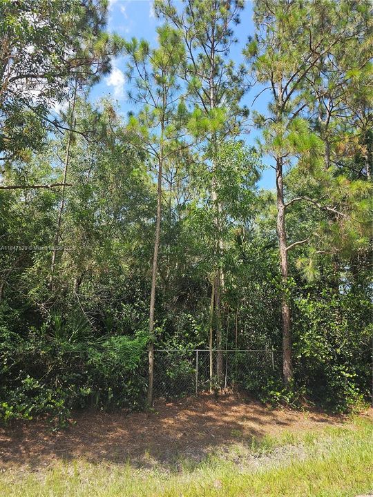 最近售出: $275,000 (1.33 acres)