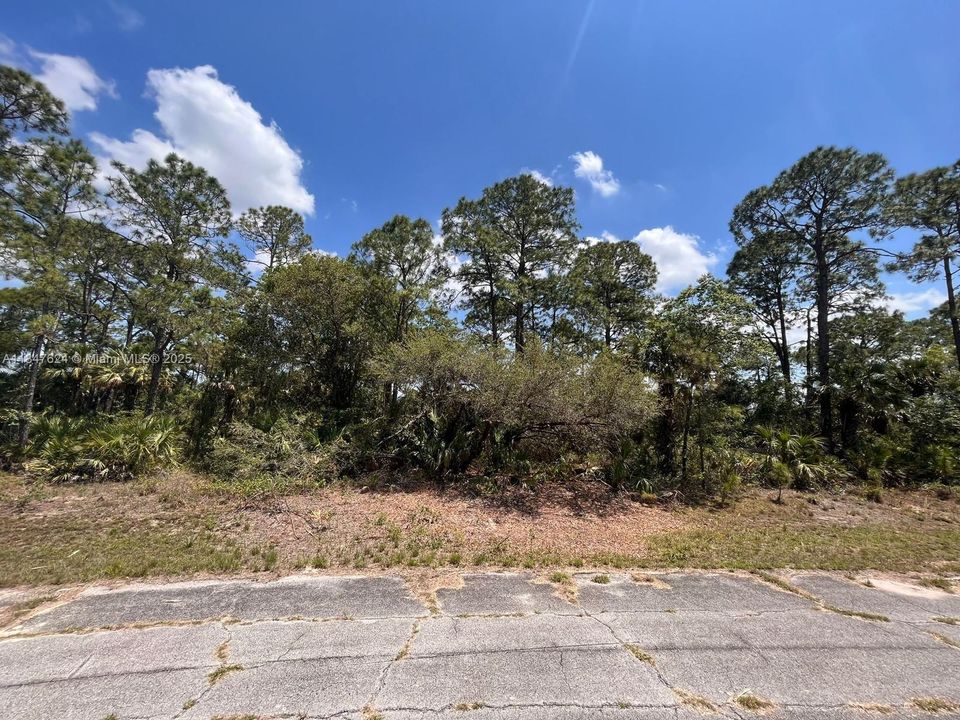 Recently Sold: $13,500 (0.30 acres)