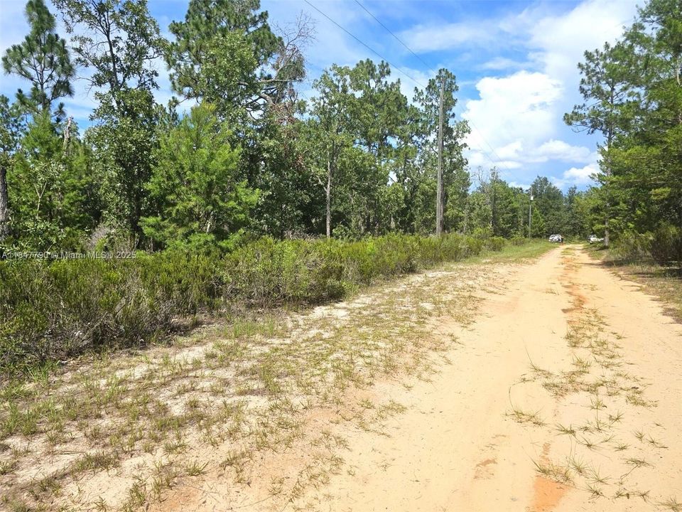 For Sale: $7,800 (0.11 acres)