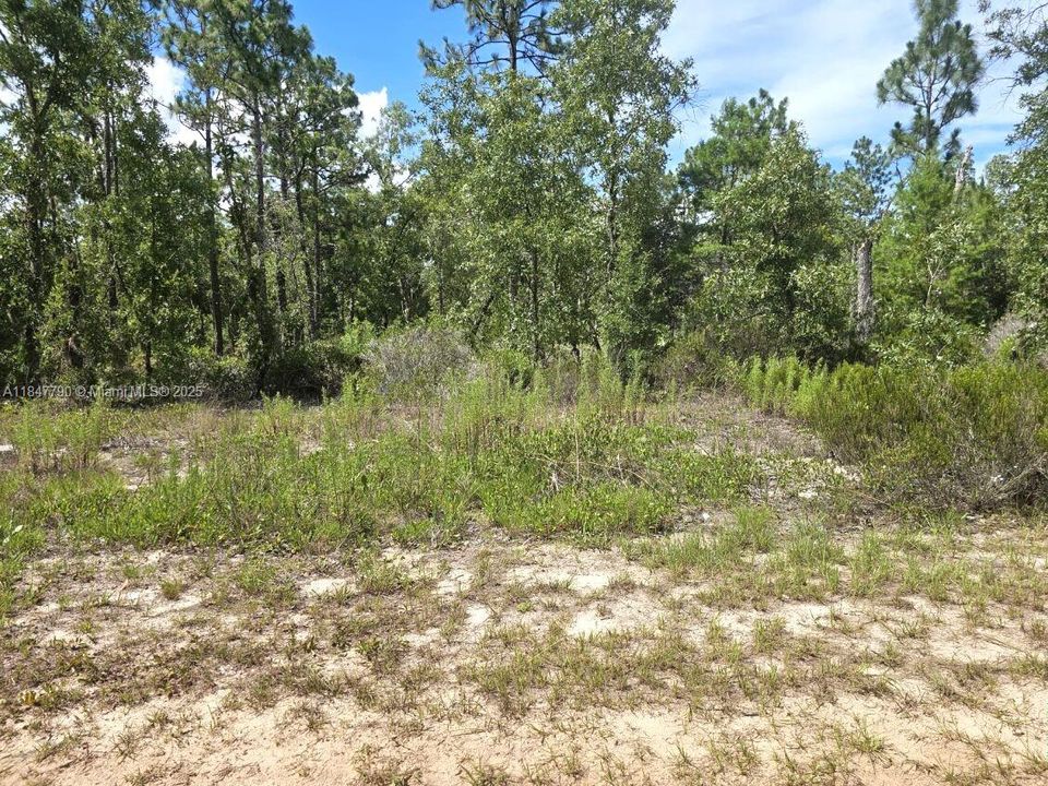 For Sale: $7,800 (0.11 acres)