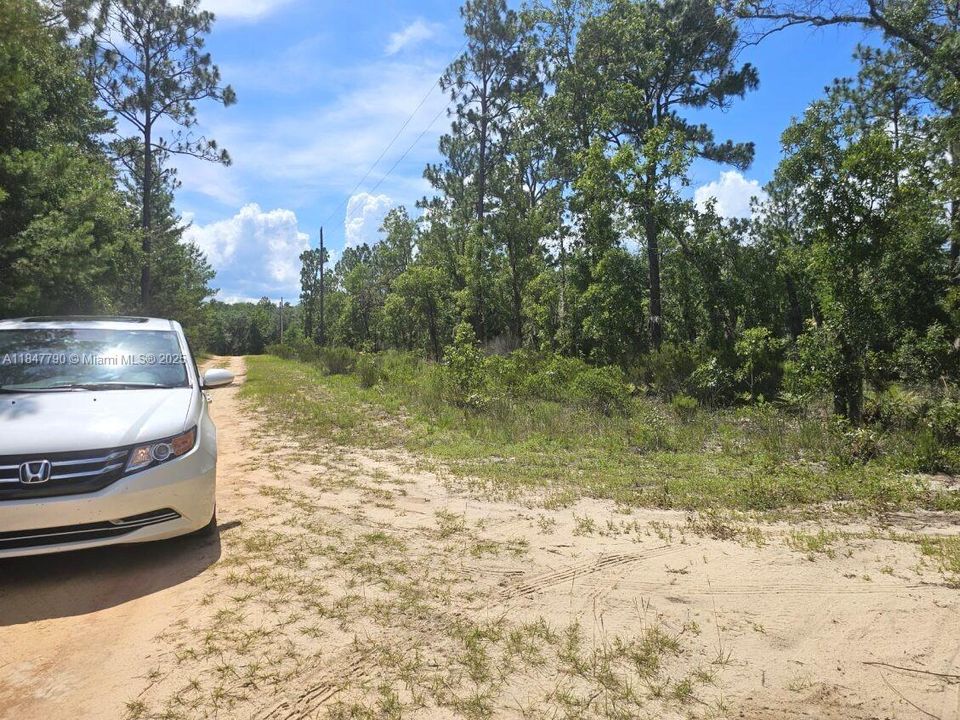 For Sale: $7,800 (0.11 acres)