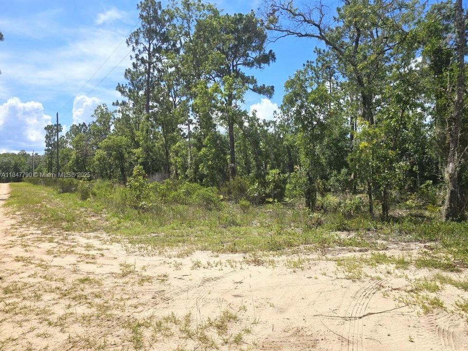 For Sale: $7,800 (0.11 acres)