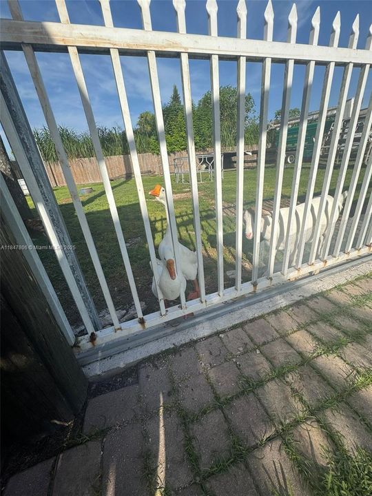 待售: $1,100,000 (6 贝兹, 3 浴室, 1845 平方英尺)