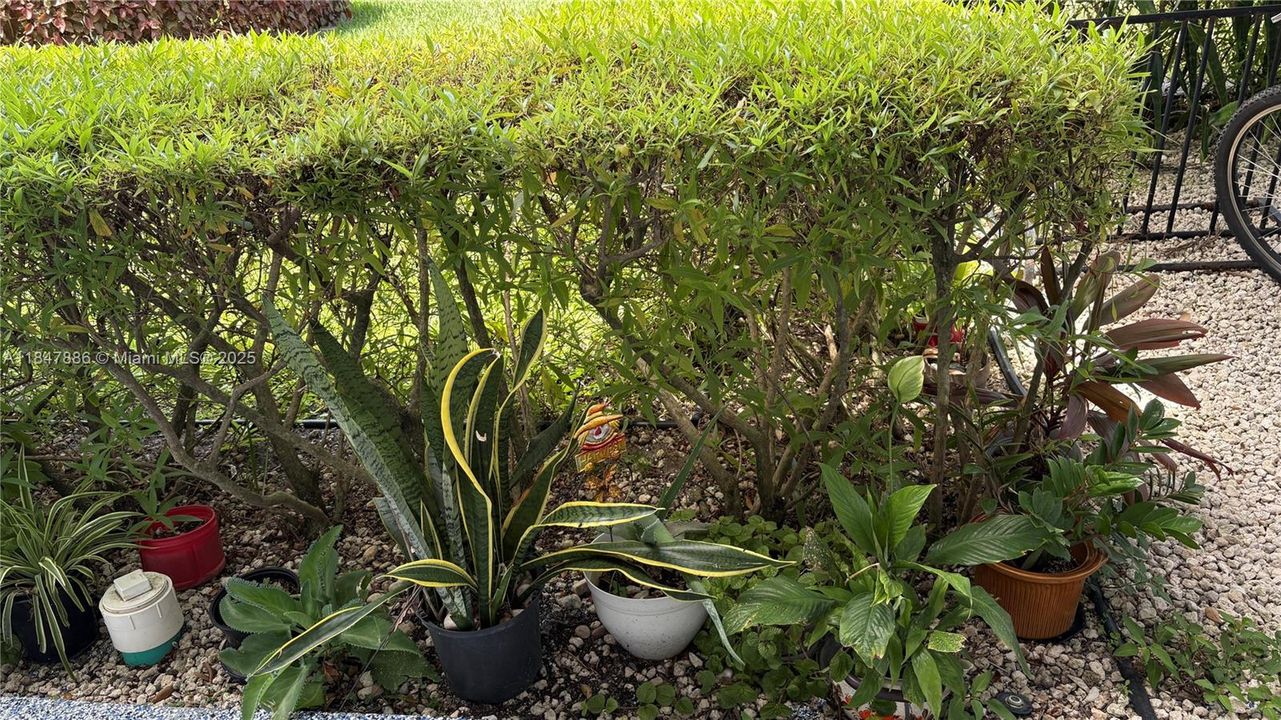 Active With Contract: $1,650 (1 beds, 1 baths, 585 Square Feet)