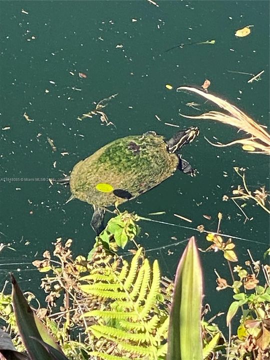 Recently Sold: $695,000 (3 beds, 2 baths, 1355 Square Feet)