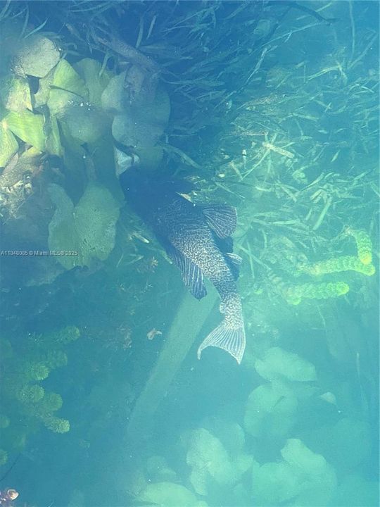 Recently Sold: $695,000 (3 beds, 2 baths, 1355 Square Feet)