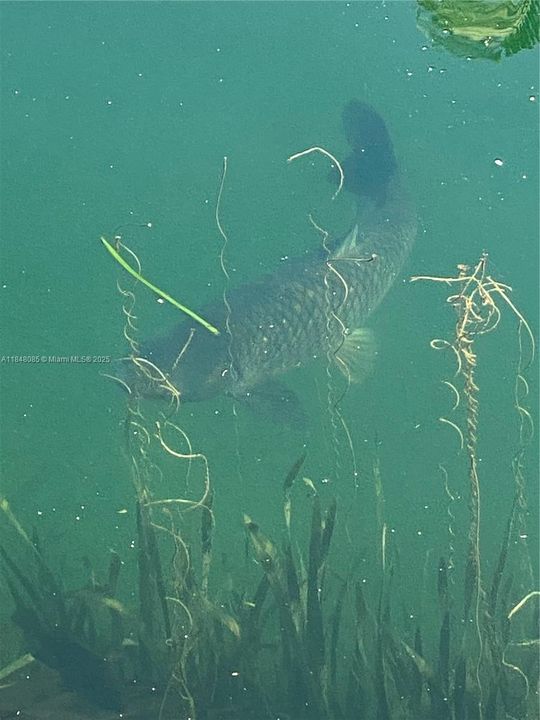 Recently Sold: $695,000 (3 beds, 2 baths, 1355 Square Feet)