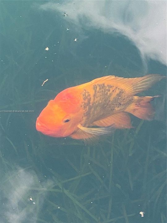 Recently Sold: $695,000 (3 beds, 2 baths, 1355 Square Feet)