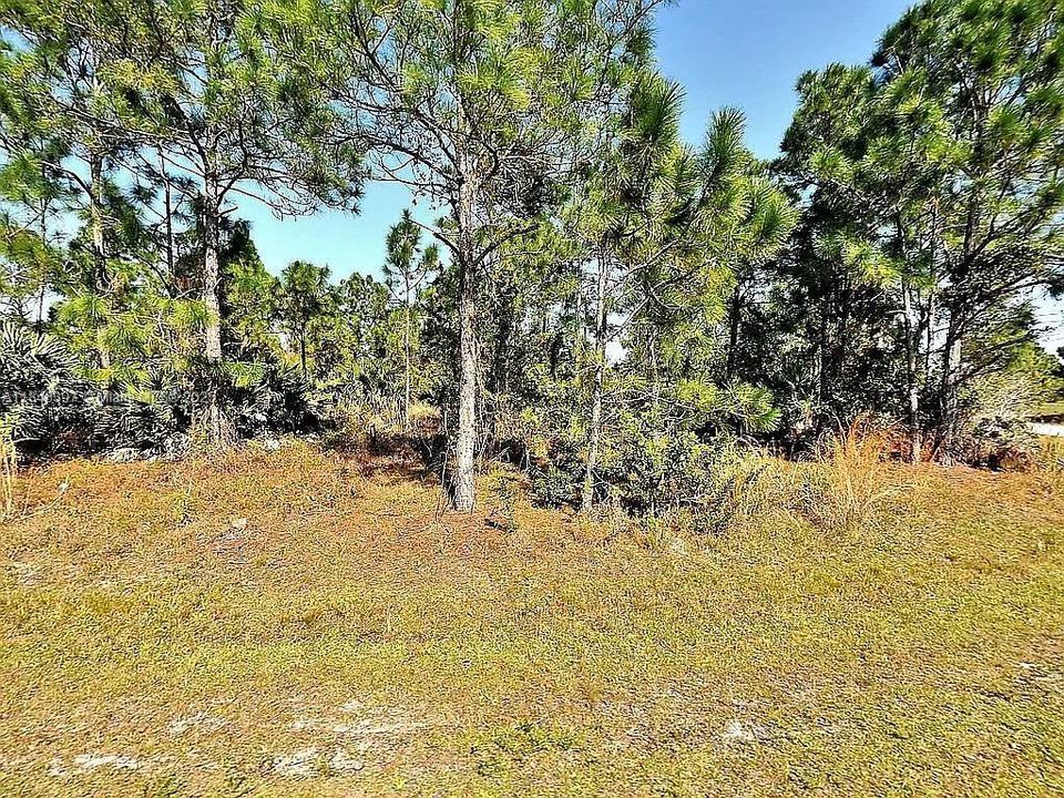 На продажу: $200,000 (0.30 acres)