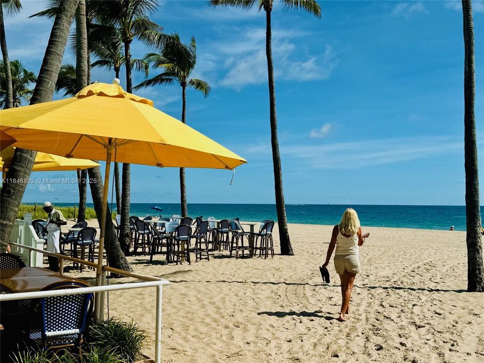 最近租的: $1,800 (1 贝兹, 1 浴室, 550 平方英尺)