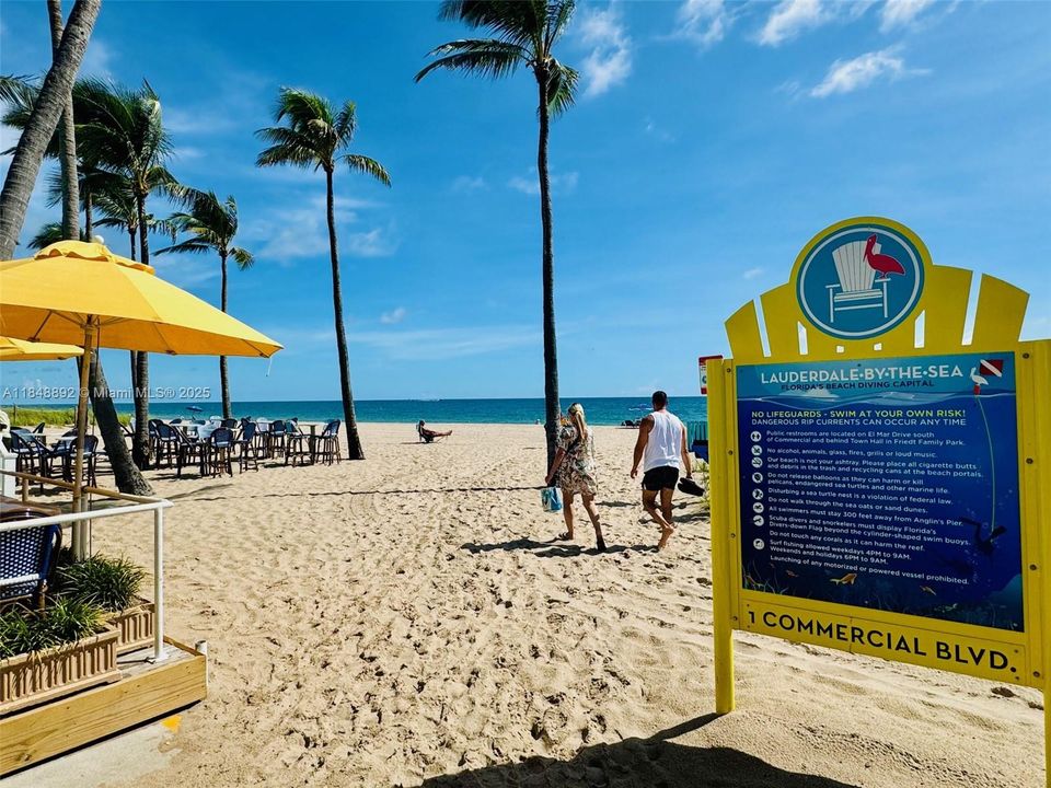 最近租的: $1,800 (1 贝兹, 1 浴室, 550 平方英尺)