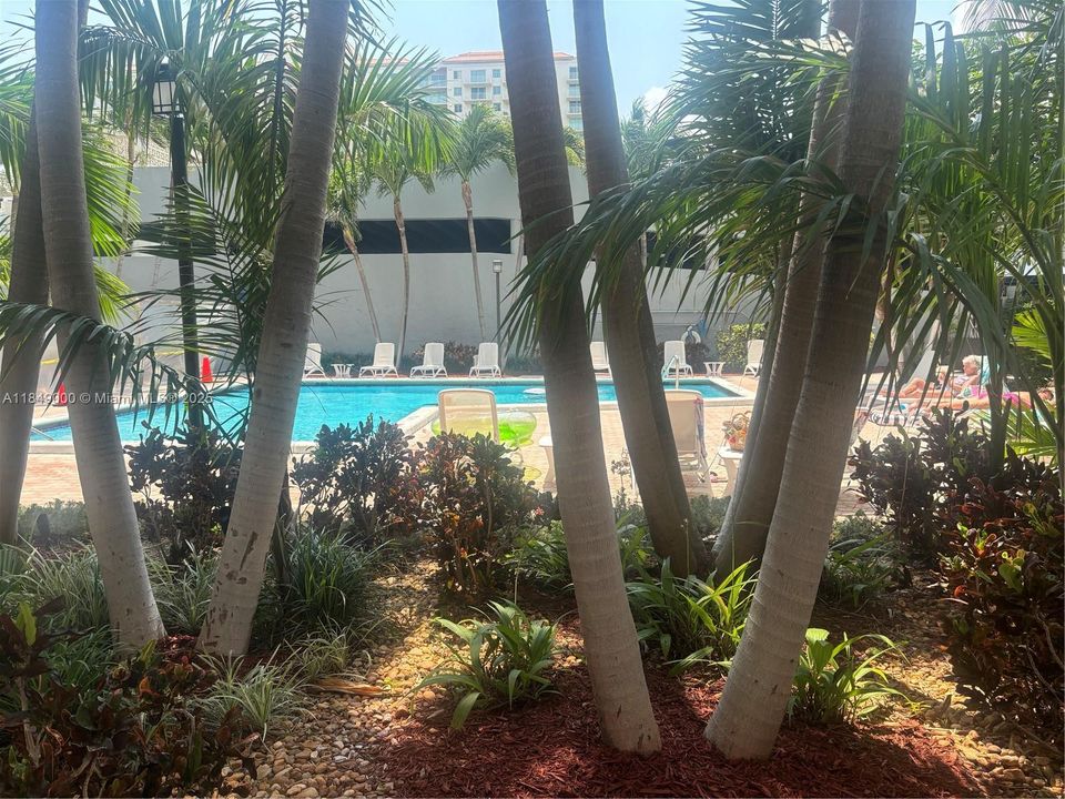 Recientemente alquilado: $2,285 (1 camas, 1 baños, 700 Pies cuadrados)