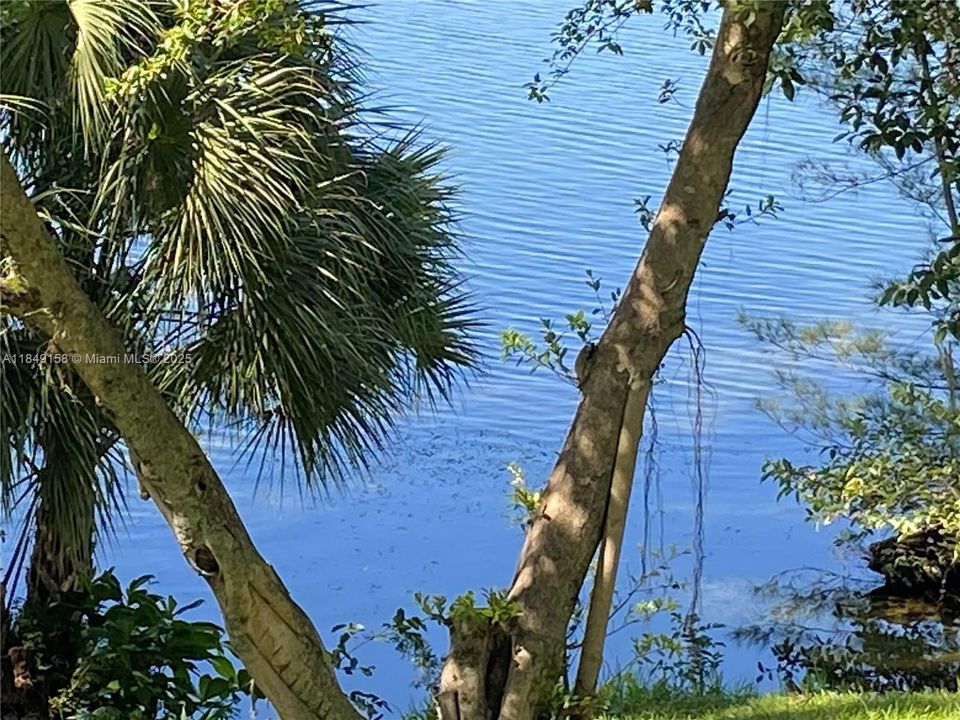 Под контрактом: $210,000 (1 спален, 1 ванн, 760 Квадратных фут)