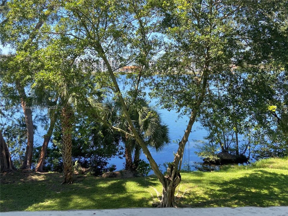 Под контрактом: $210,000 (1 спален, 1 ванн, 760 Квадратных фут)