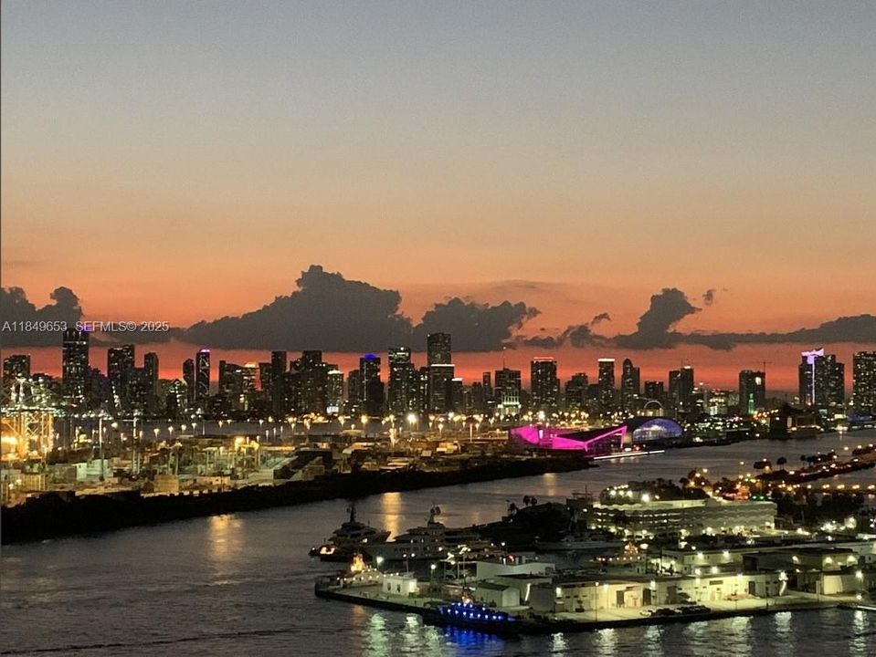 Miami Skyline View