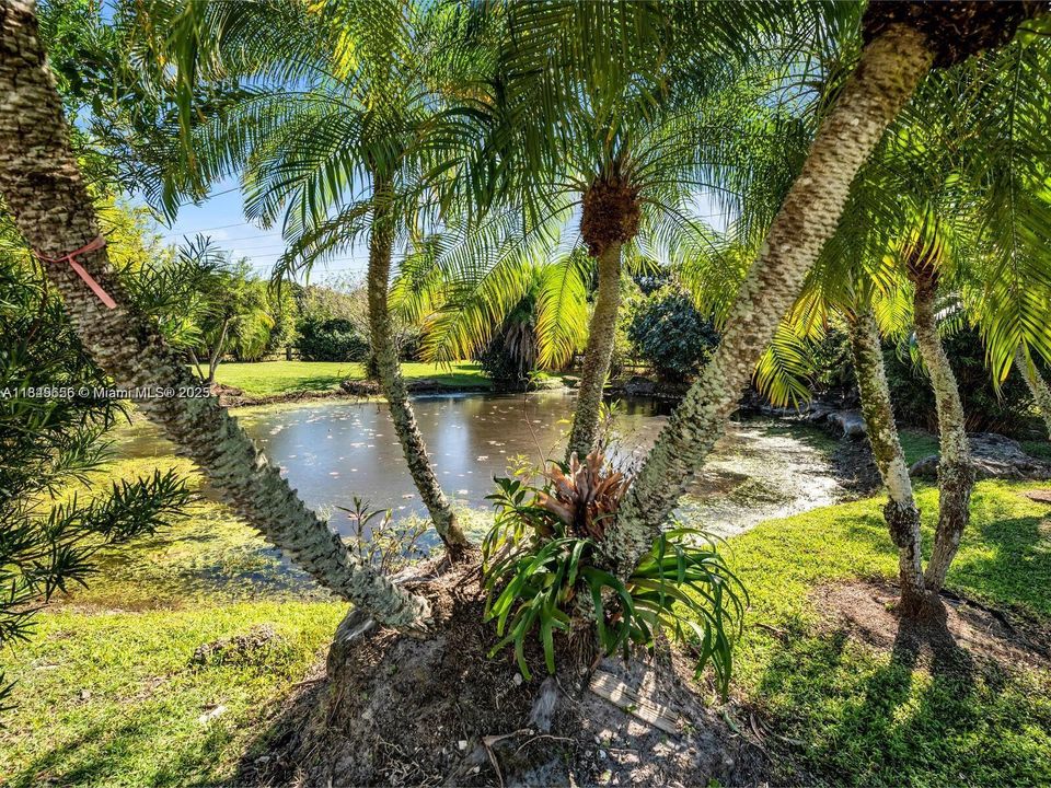 En Venta: $2,700,000 (6 camas, 5 baños, 4296 Pies cuadrados)