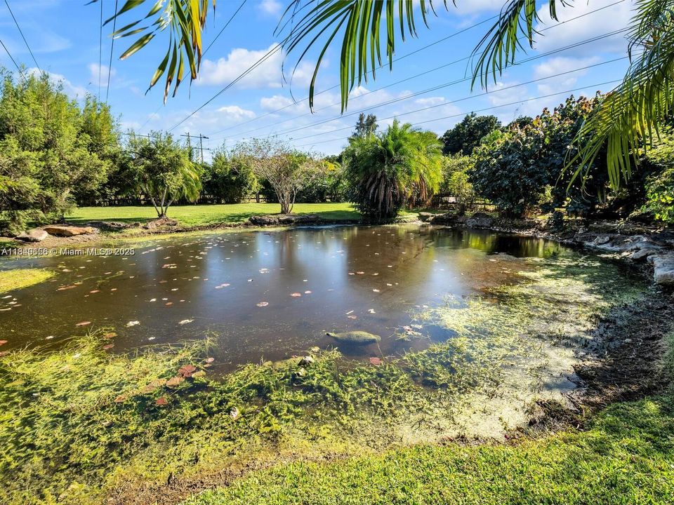 En Venta: $2,700,000 (6 camas, 5 baños, 4296 Pies cuadrados)