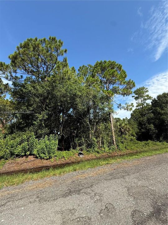 Vendido Recientemente: $48,500 (1.09 acres)