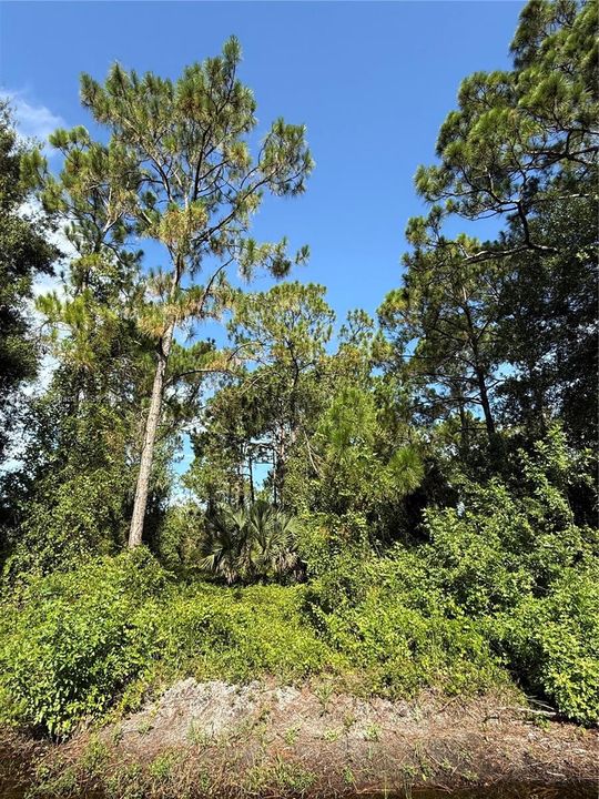 Vendido Recientemente: $48,500 (1.09 acres)