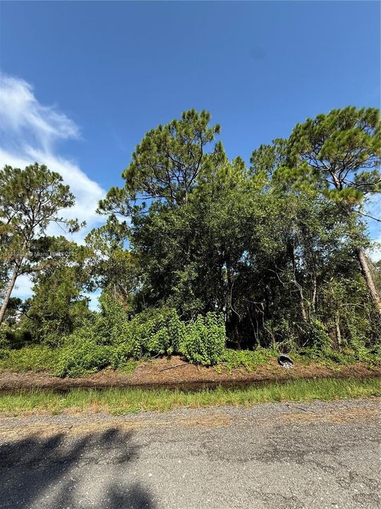 Vendido Recientemente: $48,500 (1.09 acres)