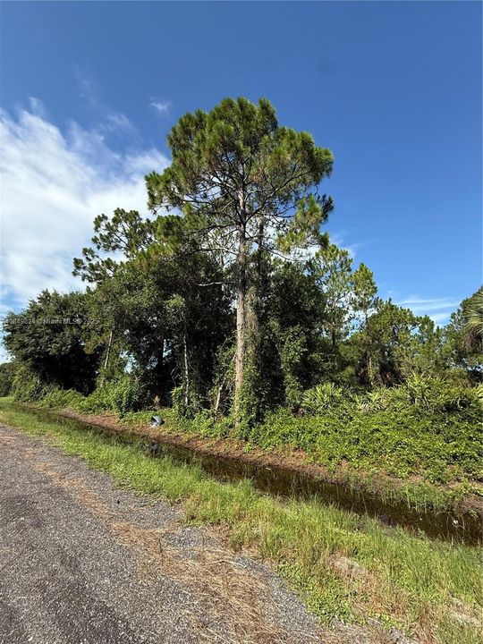 Vendido Recientemente: $48,500 (1.09 acres)