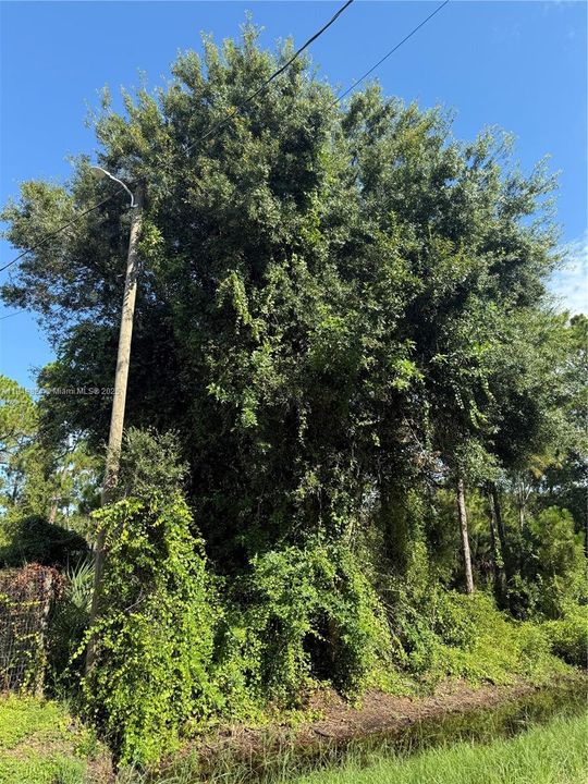 Vendido Recientemente: $48,500 (1.09 acres)