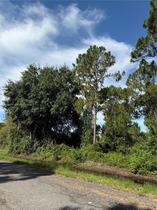 Vendido Recientemente: $48,500 (1.09 acres)