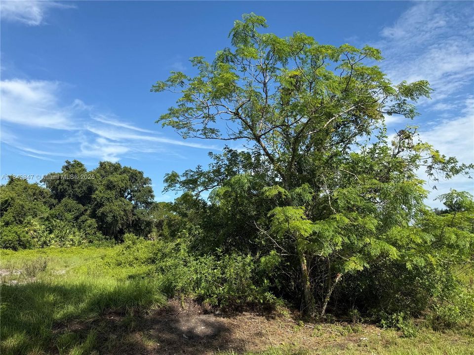 En Venta: $46,500 (1.04 acres)