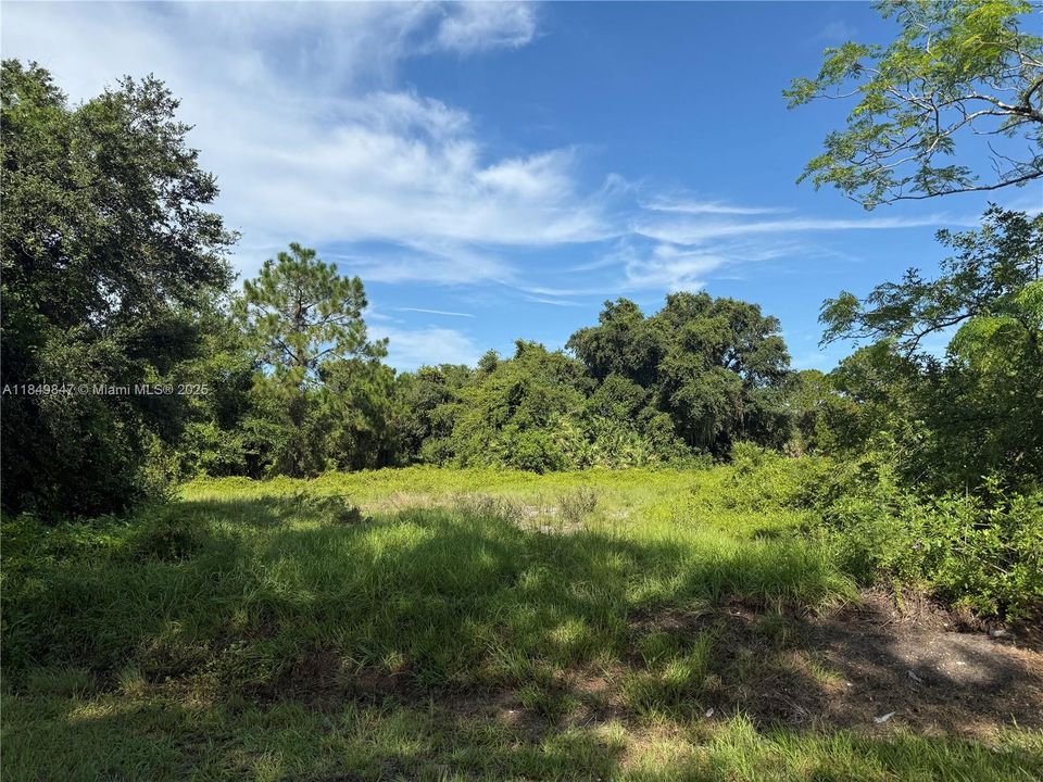 En Venta: $46,500 (1.04 acres)