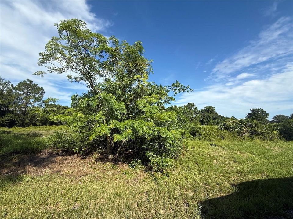 En Venta: $46,500 (1.04 acres)