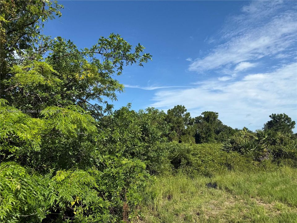 En Venta: $46,500 (1.04 acres)