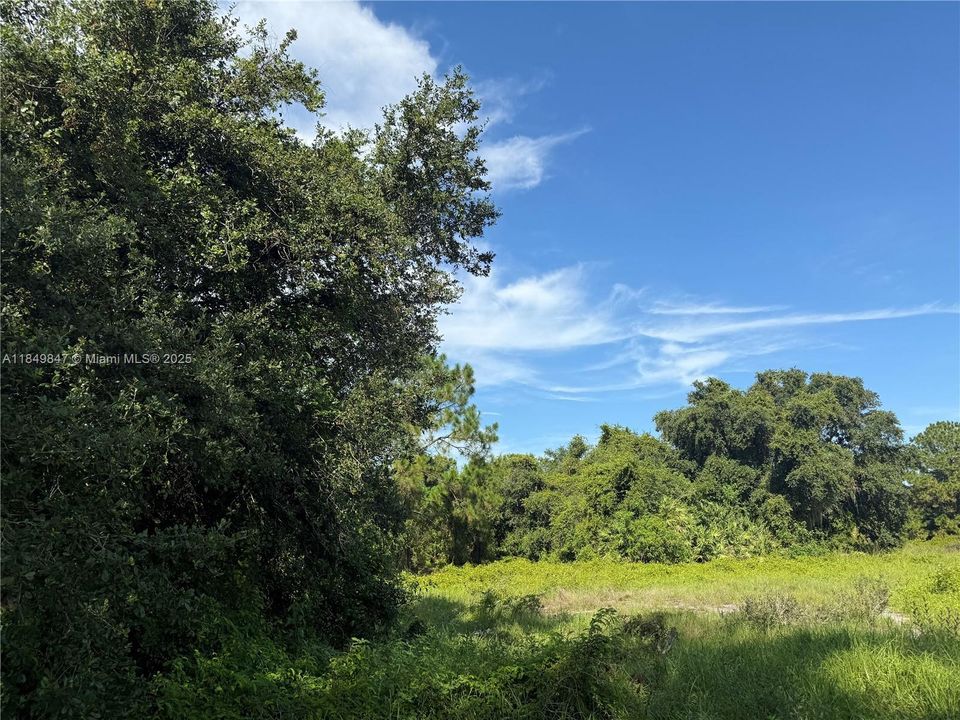 En Venta: $46,500 (1.04 acres)