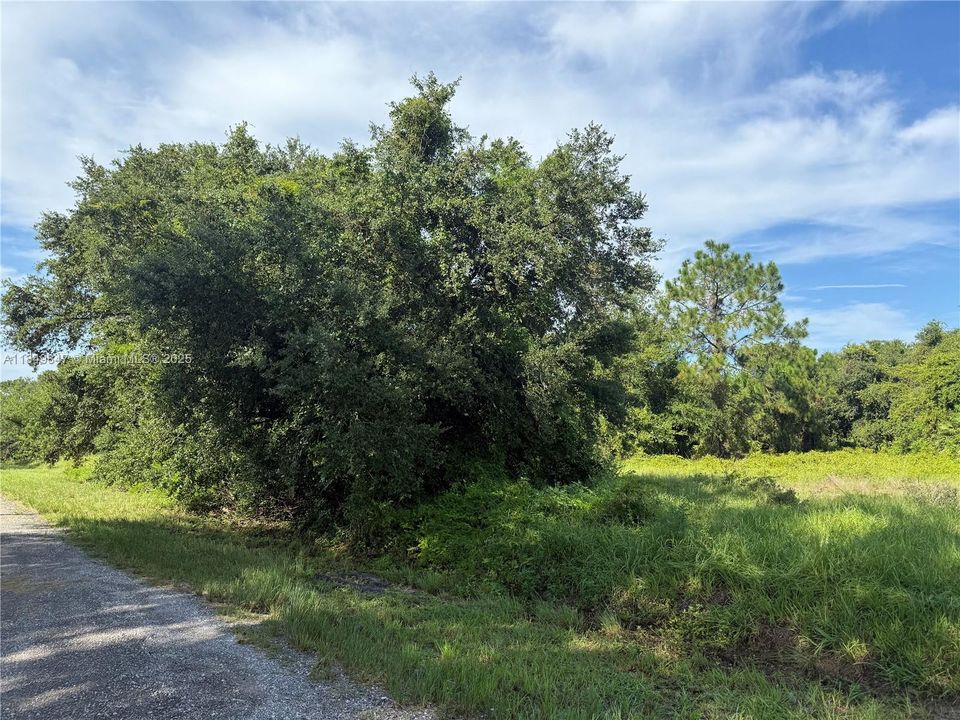 En Venta: $46,500 (1.04 acres)